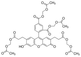 Merck 2``,7``-BIS(2-CARBOXYETHYL)-5&