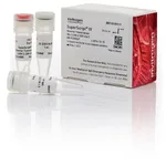 Thermo Fisher Scientific SuperScript IV Reverse Transcriptase, 2,000 Units