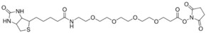 Merck NHS-DPEG(R) 4-BIOTIN&