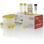 Thermo Fisher Scientific One Shot MAX Efficiency DH5α-T1<sup>R</sup> Competent Cells