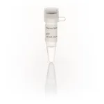 Thermo Fisher Scientific dITP Solution (100 mM)