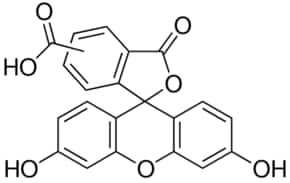 Merck 5(6)-CARBOXYFLUORESCEIN SUITABLE FOR FL&