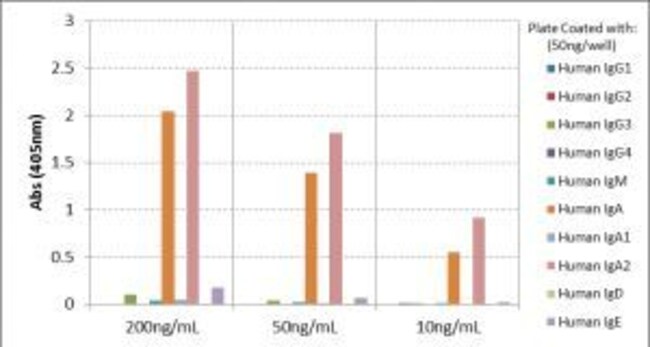 Thermo Fisher Scientific Rabbit anti-Human IgA2 Recombinant Secondary Antibody, Biotin