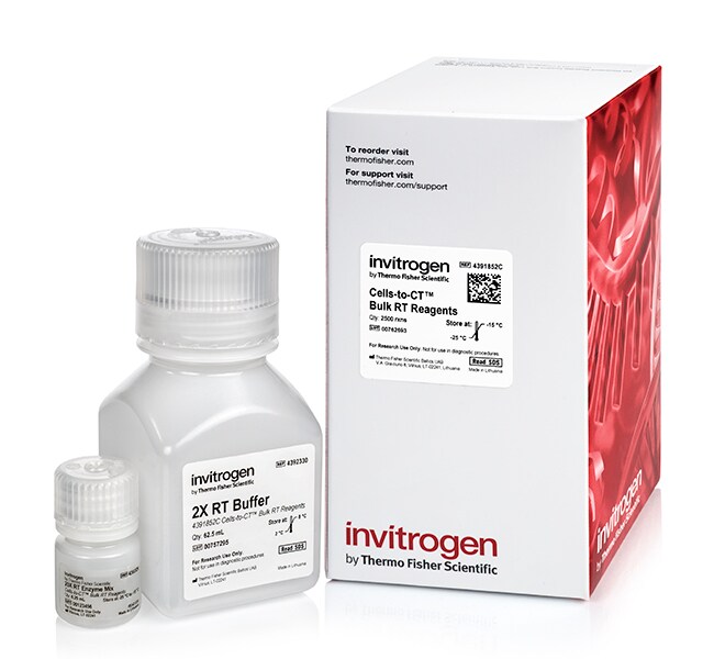 Thermo Fisher Scientific Cells-to-CT Bulk RT Reagents