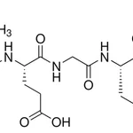 Merck Nalpha-Benzoyl-L-isoleucyl-L-glutamyl-glycyl-L-arginine-4-nitroanilide