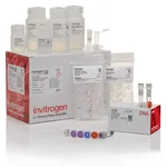 Thermo Fisher Scientific TOPO XL-2 Complete PCR Cloning Kit, without competent cells, 10 reactions