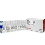Thermo Fisher Scientific MEGAshortscript T7 Transcription Kit