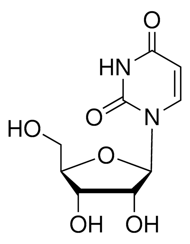 Merck Uridine