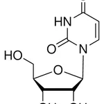 Merck Uridine