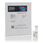 Thermo Fisher Scientific 5(6)-CFDA, SE; CFSE (5-(and-6)-Carboxyfluorescein Diacetate, Succinimidyl Ester), mixed isomers