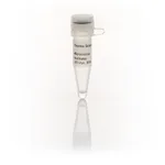 Thermo Fisher Scientific Micrococcal Nuclease (300 U/μL)