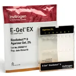 Thermo Fisher Scientific E-Gel SizeSelect II Agarose Gels, 2%
