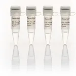 Thermo Fisher Scientific NTP Set, Tris buffered
