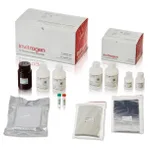 Thermo Fisher Scientific QuantiGene Singleplex Assay Kit, 2 plates