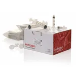 Thermo Fisher Scientific PureLink HiPure Plasmid FP (Filter and Precipitator) Maxiprep Kit, 10 Preps