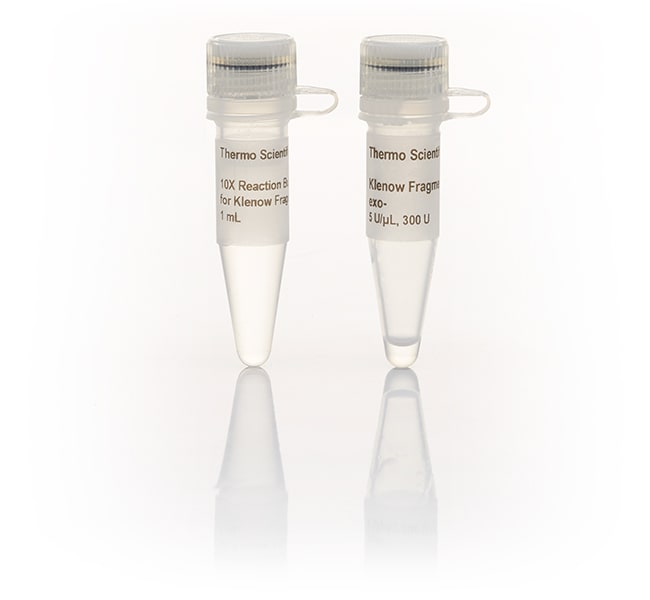 Thermo Fisher Scientific Klenow Fragment, exo– (5 U/μL), 300 units