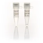 Thermo Fisher Scientific Klenow Fragment, exo– (5 U/μL), 300 units