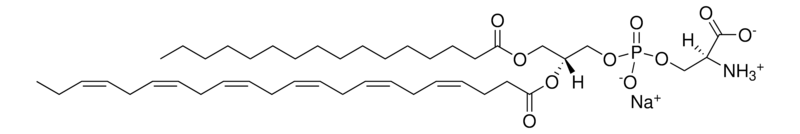 Merck 16:0-22:6 PS