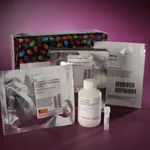 Thermo Fisher Scientific Pierce S-Nitrosylation Western Blot Kit, 40 Reactions