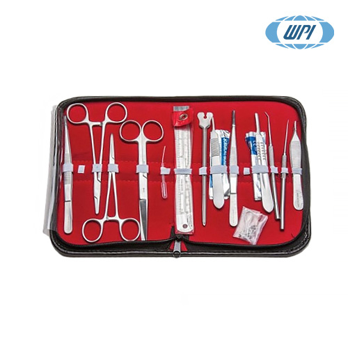 WPI 504167 / 기본 해부용 키트(Student Anatomy Kit), 23pieces[1EA/PK]