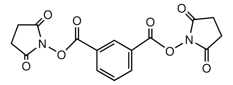 Merck Benzene-1,3-dicarbonyloxysuccinimide