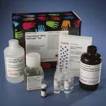 Thermo Fisher Scientific HisProbe-HRP Conjugate