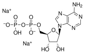 Merck ADENOSINE 5``-DIPHOSPHATE DISODIUM&