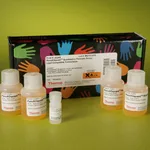 Thermo Fisher Scientific Pierce Quantitative Peroxide Assay Kit (Lipid)