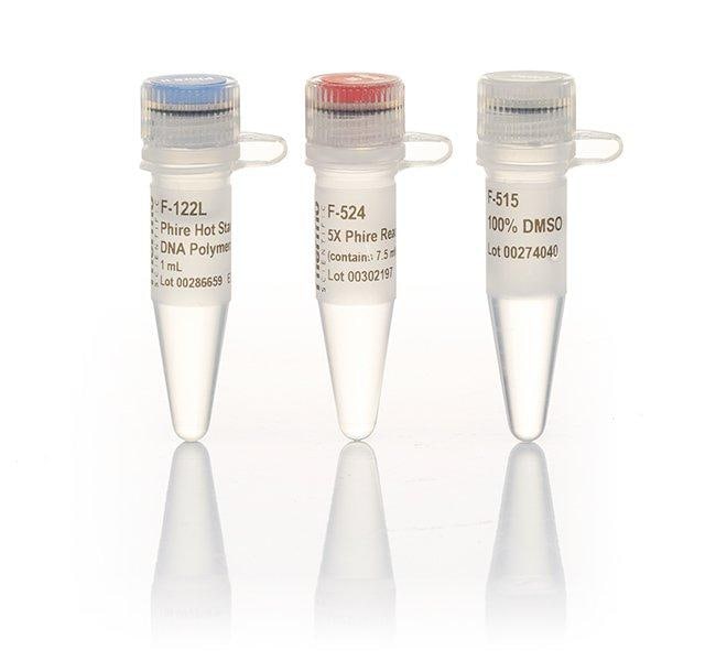 Thermo Fisher Scientific Phire Hot Start II DNA Polymerase, 1,000 reactions