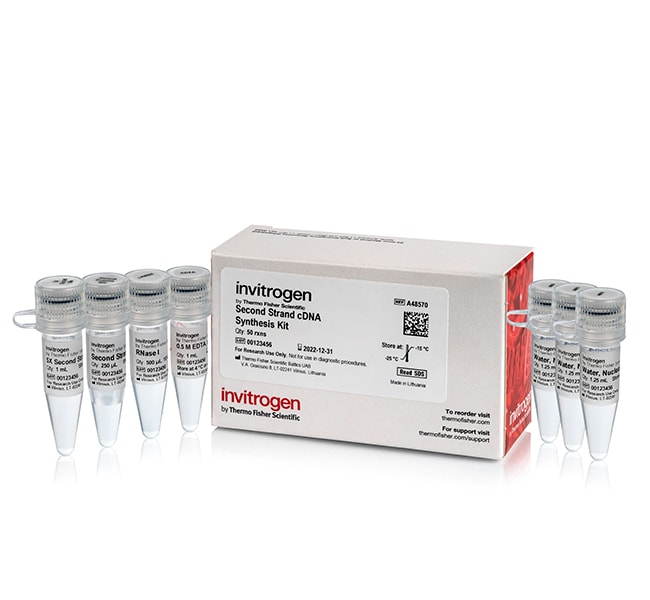 Thermo Fisher Scientific Second Strand cDNA Synthesis Kit, 50 reaction