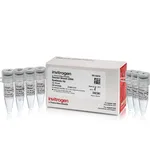 Thermo Fisher Scientific Second Strand cDNA Synthesis Kit, 50 reaction