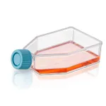 Thermo Fisher Scientific BioLite Cell Culture Treated Flasks, 25cm vented cap