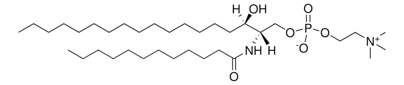 Merck 12:0 Dihydro SM (d18:0/12:0)