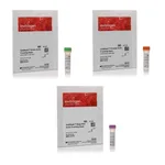 Thermo Fisher Scientific CellMask Actin Tracking Stain Variety Pack