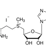 Merck S-(5 -ADENOSYL)-L-METHIONINE IODIDE
