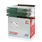 Thermo Fisher Scientific E-Gel High-Throughput Mix Pack