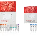 Thermo Fisher Scientific Alexa Fluor 488 Microscale Protein Labeling Kit