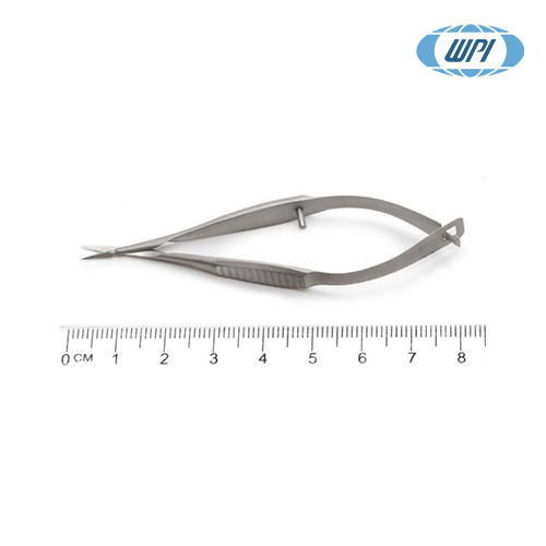 WPI 503364 / 실험용 가위(Spring Scissors), SPRING, DIAMOND CVD[1EA]