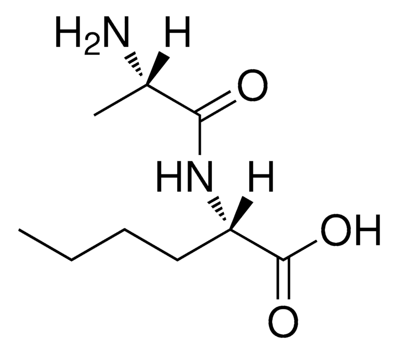 Merck L-ALANYL-L-NORLEUCINE-