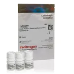 Thermo Fisher Scientific ReadyProbes Tissue Autofluorescence Quenching Kit