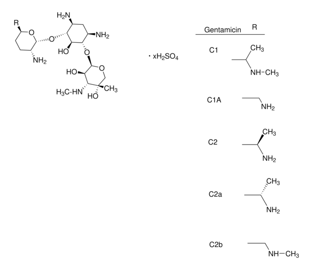 Merck GENTAMICIN SULFATE