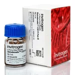 Thermo Fisher Scientific Dynabeads CD19 Pan B, 5 mL