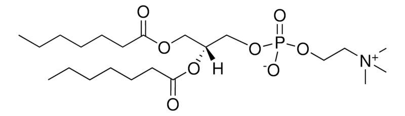 Merck 07:0 PC (DHPC)