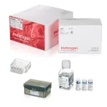 Thermo Fisher Scientific Neon NxT Electroporation System 10 μL Kit with 8-Channel Tubes, 384 x 2 reactions