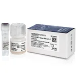 Thermo Fisher Scientific Power SYBR Green RNA-to-CT 1-Step Kit, 200 reactions