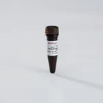 Thermo Fisher Scientific LanthaScreen Tb-anti-GFP Antibody, 25 ug