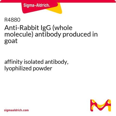 Merck Anti-Rabbit IgG (whole molecule) antibody produced in goat