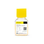 Sartorius Bio-Pure Human Serum Albumin (HSA), 10%, 20% Human Serum