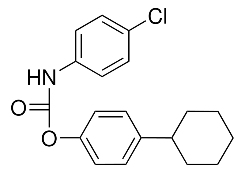 Merck 4-CYCLOHEXYLPHENYL N-(4-CHLORO - 50 MG&