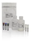 Thermo Fisher Scientific eBioscience Essential Human Th1/Th17 Phenotyping Panel with Staining & Stimulation Reagents